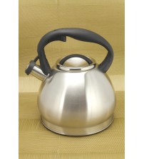 1374-WK Чайник 3,0 л ECONOM